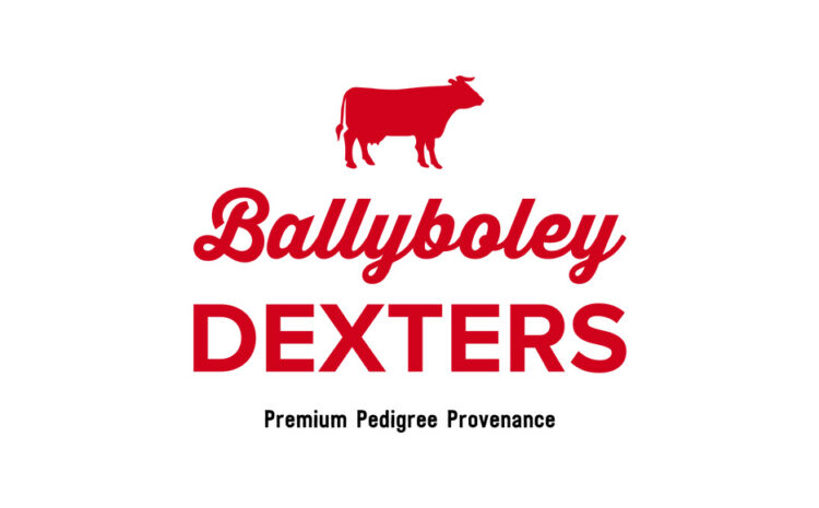  Ballyboley Dexters