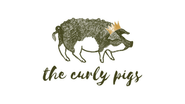 curlypigs