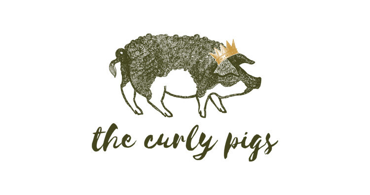  The Curly Pigs